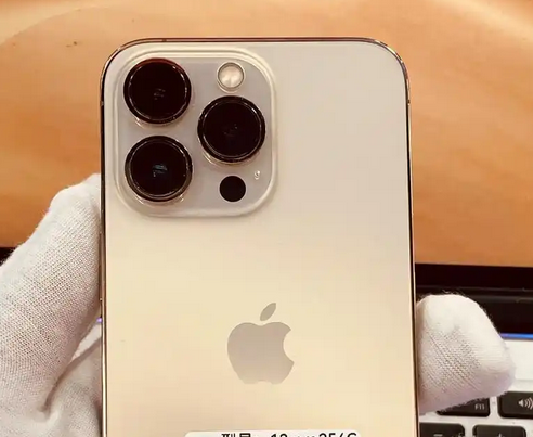 岑巩苹果13维修中心分享如何在iPhone13上设置动态壁纸 岑巩苹果13维修中心分享如何在iPhone13上设置动态壁纸